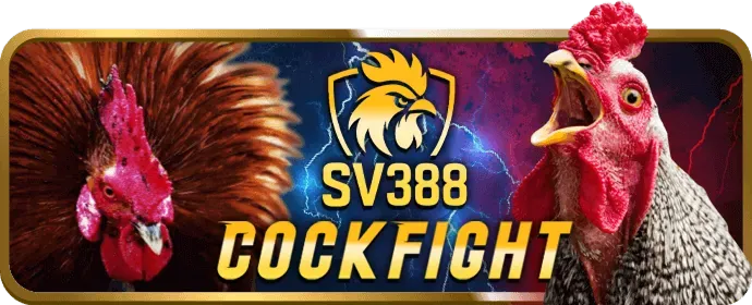 Hỗ trợ trực tuyến 24/7 tại Betvip Nhà Cái